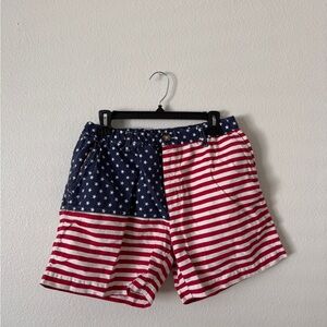 American Flag Patterned Shorts